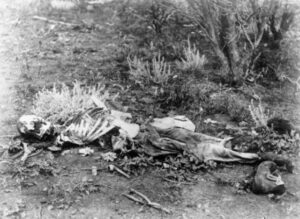 Degraded Bones