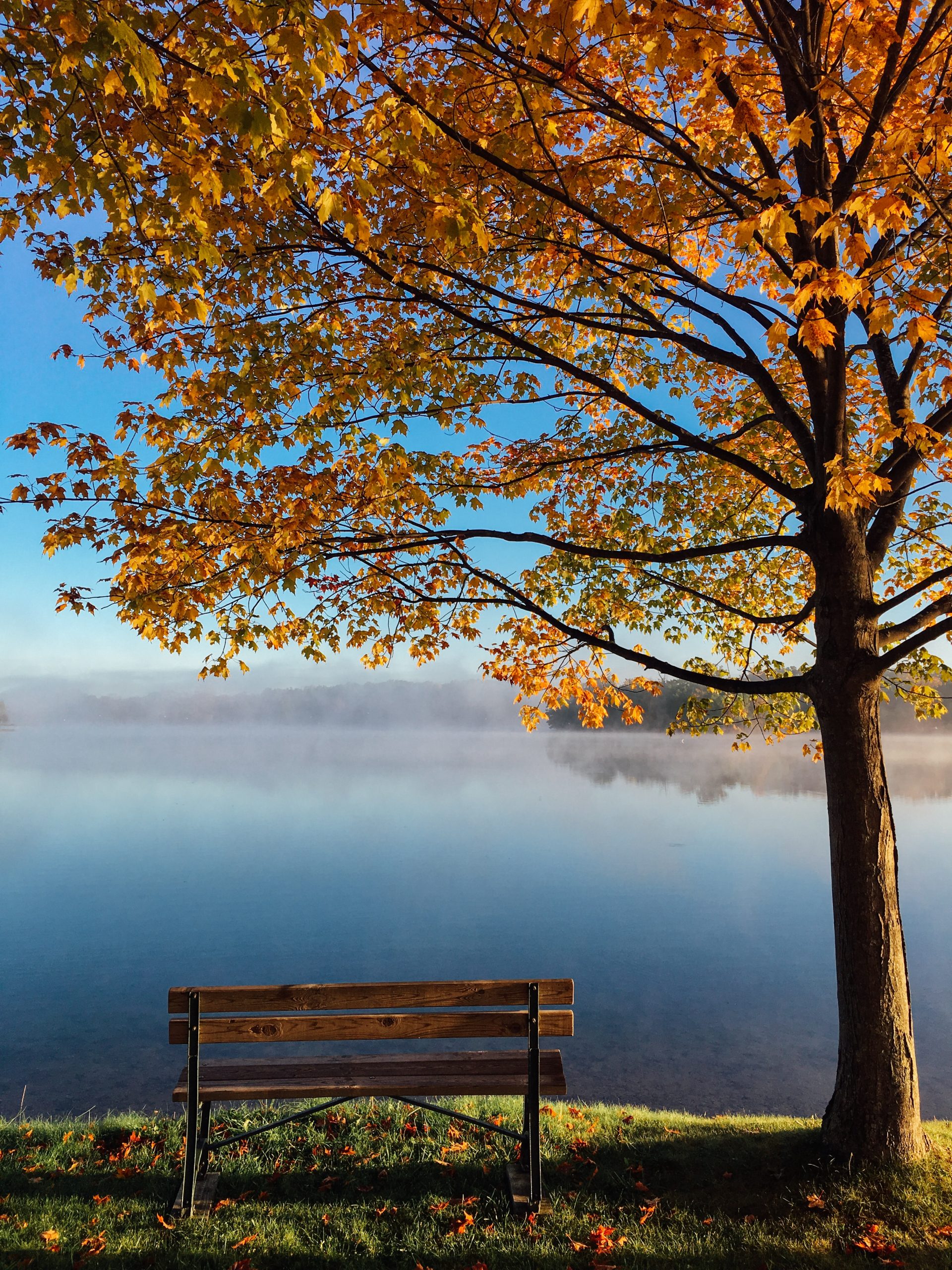 Autumn Image