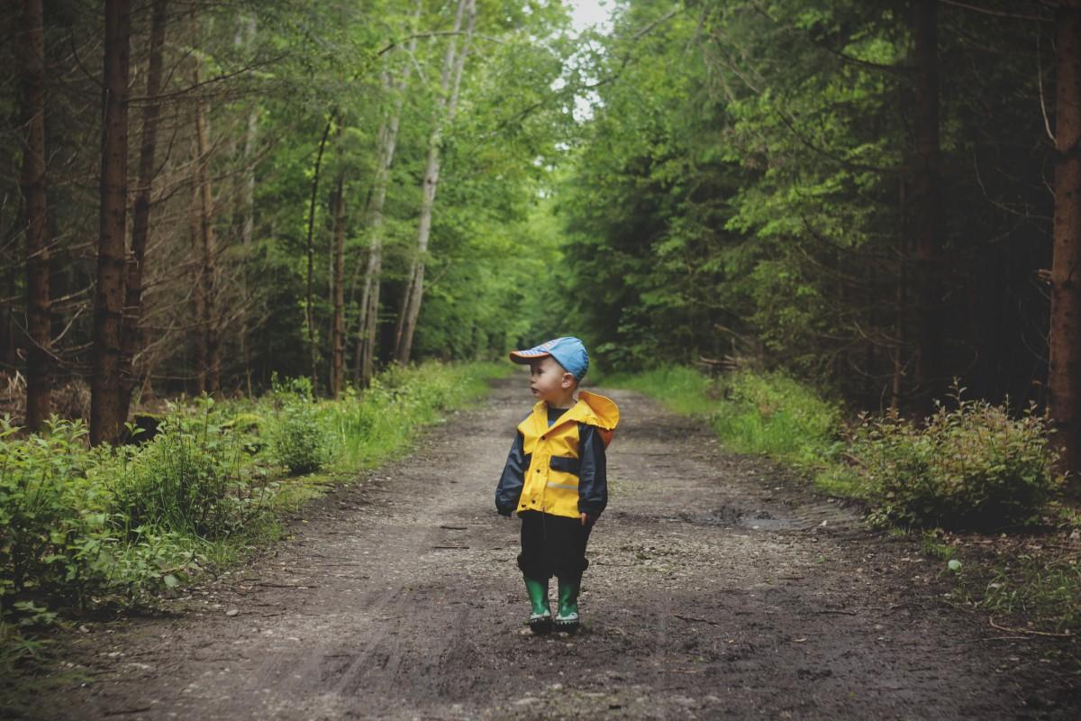 Child standing inside a forest